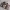 https://res.cloudinary.com/billionhands/image/upload/v1779280384/items/rlgexjaswgfhxfhn1ad3.jpg-1cover