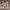 León The Baker cover