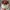 https://res.cloudinary.com/billionhands/image/upload/v1779282666/items/yixgwsjo0kzztzgpn2g1.jpg-3cover