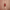 https://res.cloudinary.com/billionhands/image/upload/v1779283626/items/kcpbl2eiqaky2770pvgs.webp-1cover