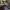 https://res.cloudinary.com/billionhands/image/upload/v1779283720/items/oucy26b3jbtkxpydefnj.jpg-0cover