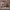 https://res.cloudinary.com/billionhands/image/upload/v1779286481/items/tkbajxeygz285vbaizyg.jpg-2cover