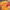 https://res.cloudinary.com/billionhands/image/upload/v1779290190/items/hjejszgo9kunxo5ghgts.jpg-0cover
