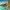 https://res.cloudinary.com/billionhands/image/upload/v1779290980/items/knmvxouesfe1clwxazob.jpg-0cover