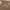 https://res.cloudinary.com/billionhands/image/upload/v1779294048/items/fwogjnew4oabqkdzu26w.jpg-3cover