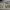 https://res.cloudinary.com/billionhands/image/upload/v1779296580/items/ibgf39y82llfd5j6vxyq.webp-2cover