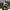 https://res.cloudinary.com/billionhands/image/upload/v1779296843/items/dysvpd2yktvtnjzqwmmd.webp-1cover