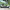 Amazon Patio, Lawn & Garden cover