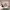 https://res.cloudinary.com/billionhands/image/upload/v1779300697/items/fdn3jlcni0mrgdfi7jrp.webp-3cover