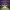 https://res.cloudinary.com/billionhands/image/upload/v1779300698/items/lcrinj95qa4zvsw0kyne.jpg-2cover