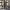 https://res.cloudinary.com/billionhands/image/upload/v1779301068/items/wuq3p44vodforecsudt9.jpg-2cover