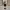 https://res.cloudinary.com/billionhands/image/upload/v1779303410/items/due4bmyocwla8ba637su.webp-0cover