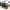 https://res.cloudinary.com/billionhands/image/upload/v1779304591/items/g65cfklqijyjkauofsyj.png-0cover