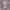 https://res.cloudinary.com/billionhands/image/upload/v1779304723/items/n2obkjzigs7djv4wahyy.webp-0cover
