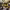 https://res.cloudinary.com/billionhands/image/upload/v1779304980/items/b6dvaphoxruflhkeprnr.jpg-3cover