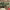 https://res.cloudinary.com/billionhands/image/upload/v1779310362/items/n0xfv16qyxjvb8jzu4wj.jpg-0cover
