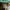https://res.cloudinary.com/billionhands/image/upload/v1779310365/items/lvbho9d5oicseainyugo.webp-0cover