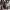 https://res.cloudinary.com/billionhands/image/upload/v1779310500/items/piweckuktitgy6mnhqhk.webp-3cover