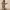 https://res.cloudinary.com/billionhands/image/upload/v1779310504/items/c6vv0kayzp9e67rslbyp.webp-2cover