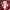 https://res.cloudinary.com/billionhands/image/upload/v1779310647/items/fnpbhgppncrqbndwklvj.jpg-3cover