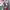https://res.cloudinary.com/billionhands/image/upload/v1779310650/items/ig0ds6qslmofit65umw4.jpg-3cover