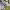 https://res.cloudinary.com/billionhands/image/upload/v1779312240/items/nneddiumvtge1uwsnunq.jpg-0cover