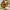https://res.cloudinary.com/billionhands/image/upload/v1779312770/items/vpf0tveaxrnoidlnjlho.jpg-1cover