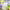 https://res.cloudinary.com/billionhands/image/upload/v1779313345/items/vlybuk4zcqym4yodebs2.jpg-0cover