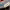 https://res.cloudinary.com/billionhands/image/upload/v1779313613/items/ni8lrchemd2gw7xuauds.jpg-3cover