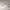 https://res.cloudinary.com/billionhands/image/upload/v1779313617/items/zc1oqczxzar1c9bwedot.png-2cover