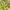 https://res.cloudinary.com/billionhands/image/upload/v1779314371/items/ybbatl5jm1rafnstqbbk.jpg-0cover