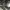 https://res.cloudinary.com/billionhands/image/upload/v1779315227/items/nycamvo0gwcxxtieoxug.jpg-1cover