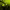 https://res.cloudinary.com/billionhands/image/upload/v1779317128/items/o9c6nclfgyqe2pfytp9r.jpg-0cover