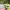 https://res.cloudinary.com/billionhands/image/upload/v1779317151/items/ohthwb0iac4k3pqafvem.webp-3cover