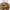 https://res.cloudinary.com/billionhands/image/upload/v1779318565/items/esm6euw4ipoyqdsrovzz.webp-0cover