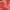 https://res.cloudinary.com/billionhands/image/upload/v1779319221/items/bdg6vnlcw3z5w8hd83de.avif-0cover