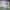 https://res.cloudinary.com/billionhands/image/upload/v1779319599/items/jvmn3r6ht9vra7nr4k2u.jpg-0cover