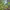 https://res.cloudinary.com/billionhands/image/upload/v1779319607/items/zcc9nkalg3oarxtj9guq.jpg-3cover