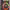https://res.cloudinary.com/billionhands/image/upload/v1779327870/items/skntzvypitze8rlk8vue.jpg-2cover