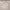 https://res.cloudinary.com/billionhands/image/upload/v1779331518/items/spnjzfv0l8wfcbb2xlry.jpg-0cover