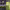 https://res.cloudinary.com/billionhands/image/upload/v1779331580/items/gasu3nbmpsuuhoinqhcw.jpg-0cover