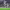 https://res.cloudinary.com/billionhands/image/upload/v1779331584/items/ao7funll622wclod9i5z.jpg-3cover