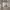 https://res.cloudinary.com/billionhands/image/upload/v1779334395/items/wunq4ul0iumaazy7egdt.jpg-3cover