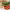 https://res.cloudinary.com/billionhands/image/upload/v1779337728/items/ilze6crcfhf6zmgigunq.webp-1cover