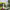 https://res.cloudinary.com/billionhands/image/upload/v1779340367/items/xa43vuzbkdgxrbscbjjq.jpg-2cover