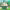 https://res.cloudinary.com/billionhands/image/upload/v1779342892/items/nx4nvtclvuhkfuqjxk04.jpg-2cover