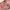 https://res.cloudinary.com/billionhands/image/upload/v1779355218/items/jmx0xactnlbuyndlkcyl.jpg-1cover
