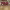 https://res.cloudinary.com/billionhands/image/upload/v1779357659/items/llbb7uddncbbf5lnonrq.jpg-0cover