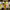 https://res.cloudinary.com/billionhands/image/upload/v1779357670/items/yamrdiuzn4yt49gvtpkw.webp-3cover