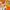 https://res.cloudinary.com/billionhands/image/upload/v1779361468/items/h5vbpskbdpe9bkaohr1c.webp-2cover